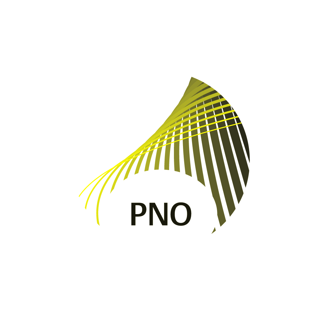 PNO Consultants